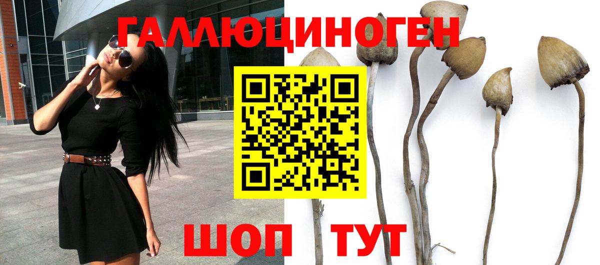 Псилоцибиновые грибы мицелий Нижнекамск
