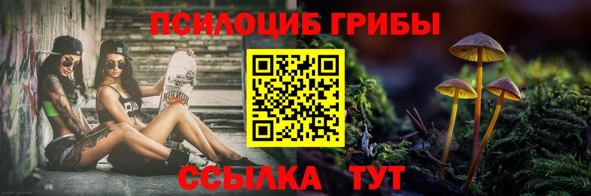 Нижнекамск  Галлюциногенные грибы мицелий  Вход с VPN 